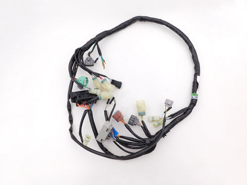 HONDA WIRING HARNESS 2000-2002 RANCHER 350 FE TE MODELS OEM NEW 32100-HN5-A10